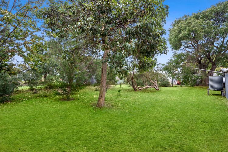 Large backyard