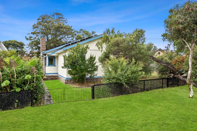 Large yard 