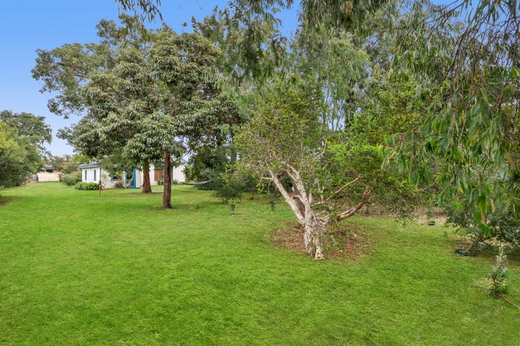 Large yard 