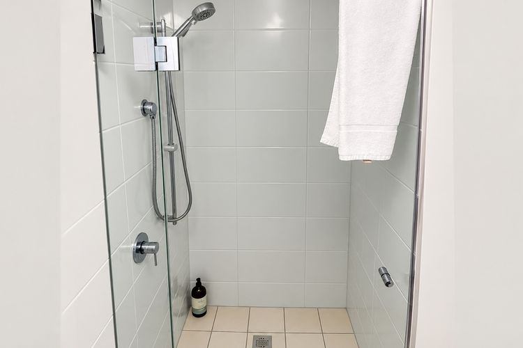 Downstairs Shower and Toilet