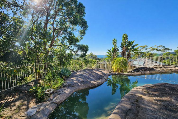 Resort Style Rock Pool Oasis