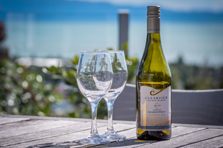 Ocean View with Kiwi Vibe