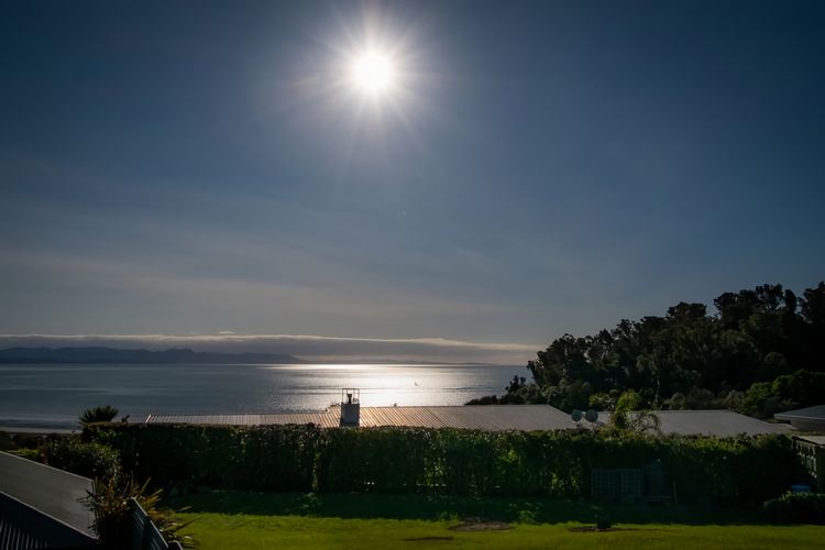Bay Dreams