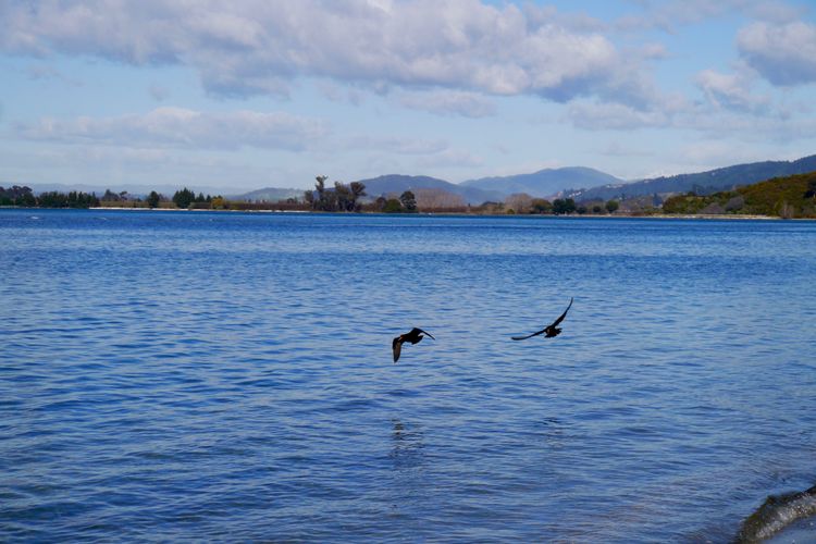 Beachfront Playground