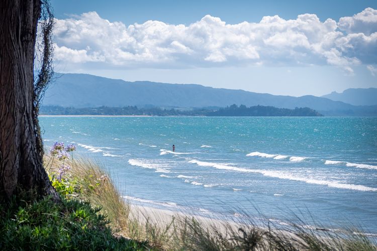 Beachside Bliss