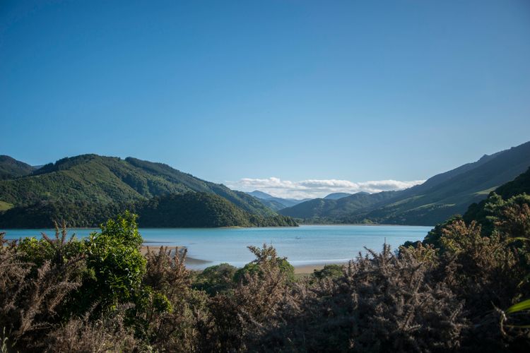 Passage Hut Pepin Island
