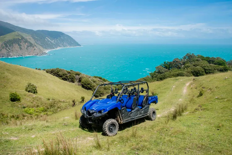 Rocky Point Hut Pepin Island