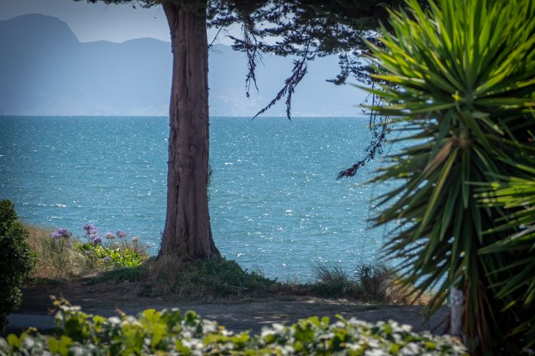 Piwakawaka Haven in Pohara