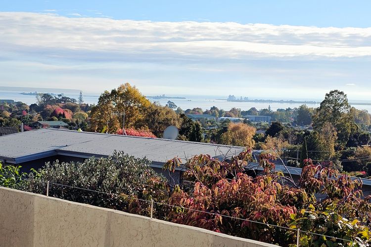 Family Fun on Queen St