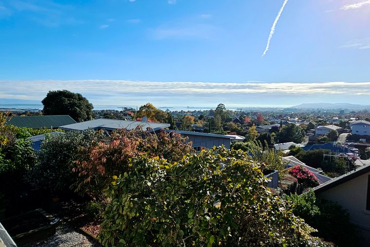 Family Fun on Queen St