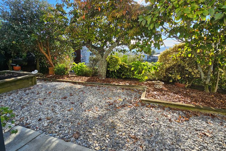 Family Fun on Queen St