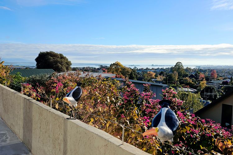 Family Fun on Queen St
