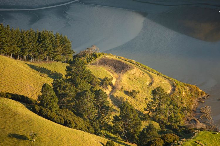 Totara Cottage