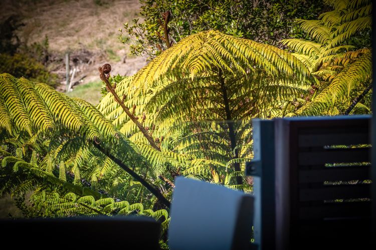 Little Kaiteriteri Getaway