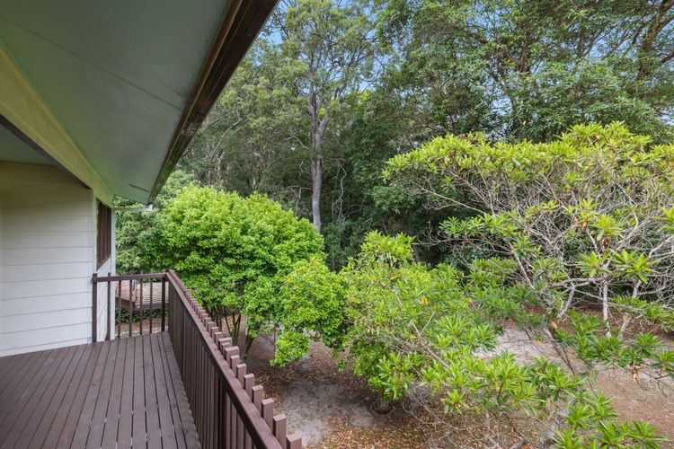 Trial Bay Bush Haven