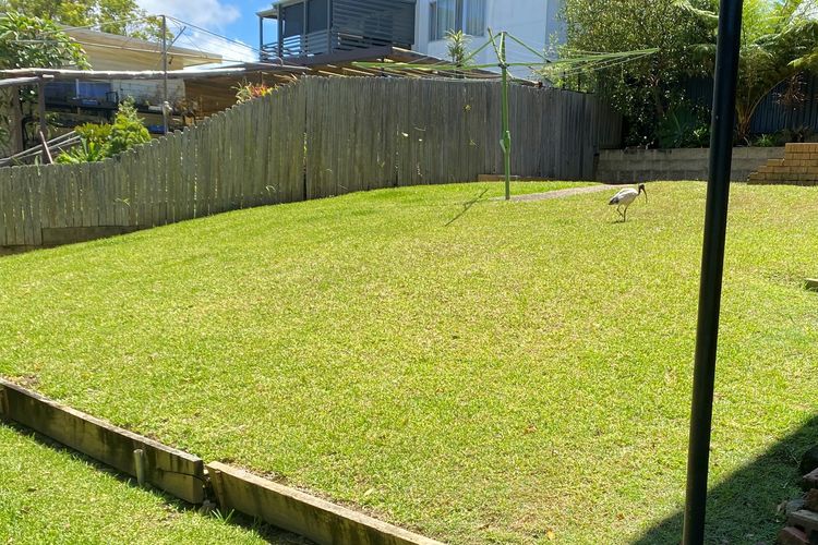 Property Garden