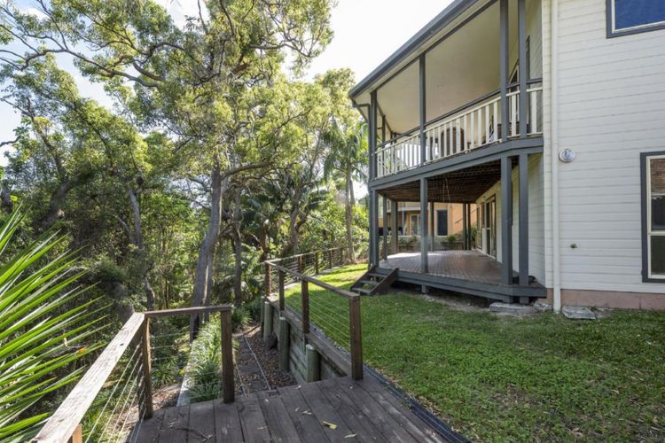 Treetop Retreat