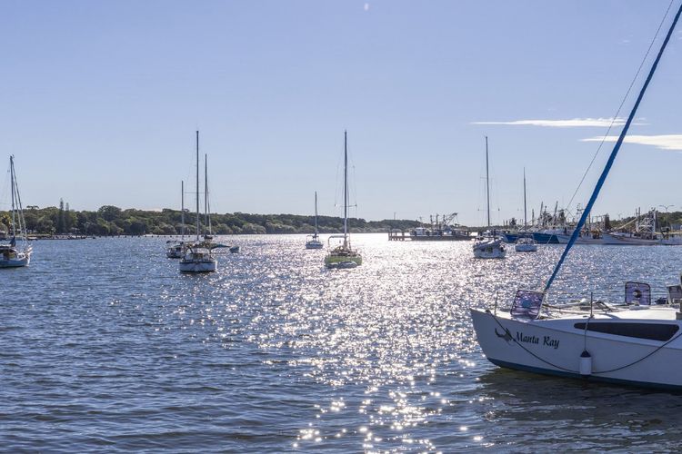 Marina Views