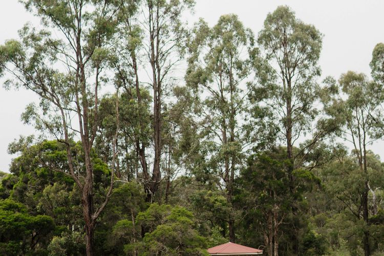 Hunter Valley Lodge and Retreat