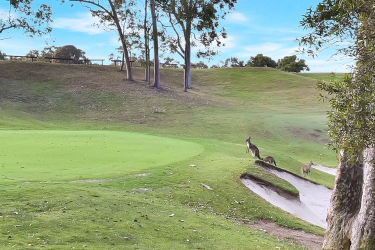 Hole-in-One Haven 2bdr Villa