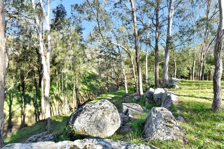 Wongaburra Luxury Homestead