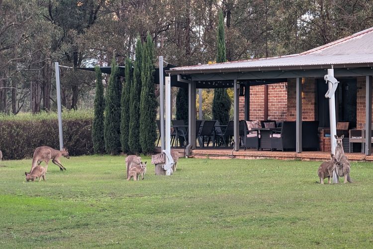 Blaxlands Kangaroo Homestead with Hot Tub walk to Concerts and Wineries