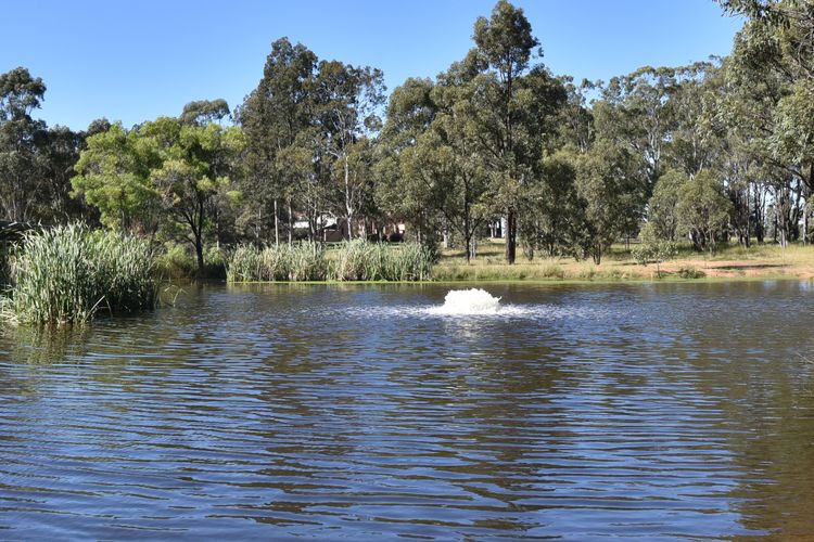 Blaxlands Kangaroo Homestead with Hot Tub walk to Concerts and Wineries