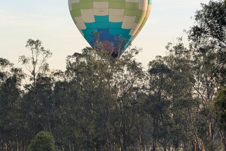 Blaxlands Kangaroo Homestead with Hot Tub walk to Concerts and Wineries