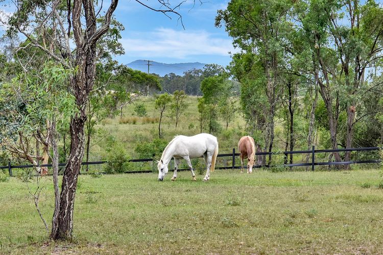 Standen Manor, Hunter Valley — Country Estate & Stables