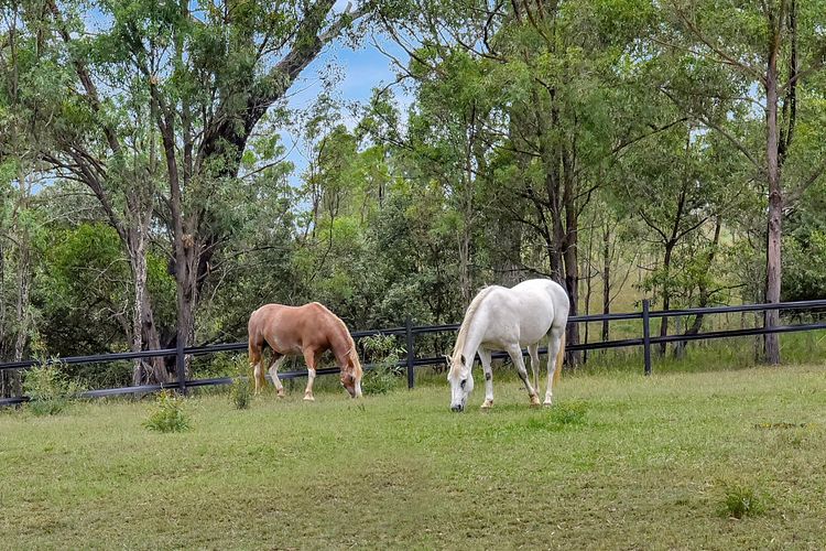 Standen Manor, Hunter Valley — Country Estate & Stables