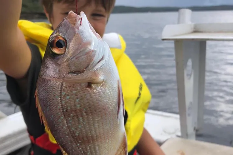 The Little Lake House Waterfront