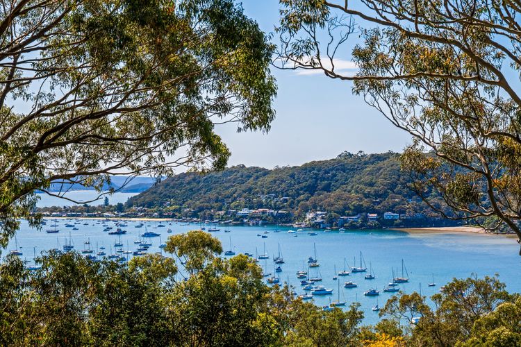 Pittwater Vista by TCC