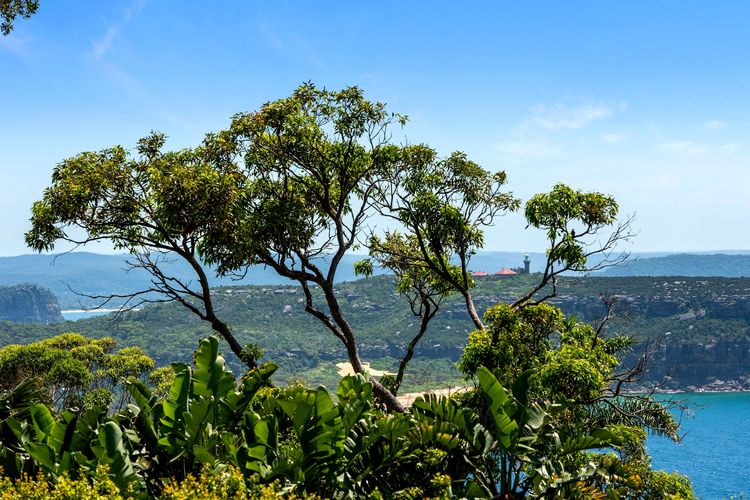 Windy Ridge by TCC