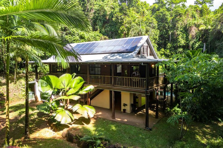 Fern House your serene rainforest retreat