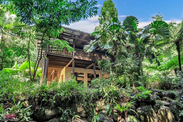 Fern House your serene rainforest retreat