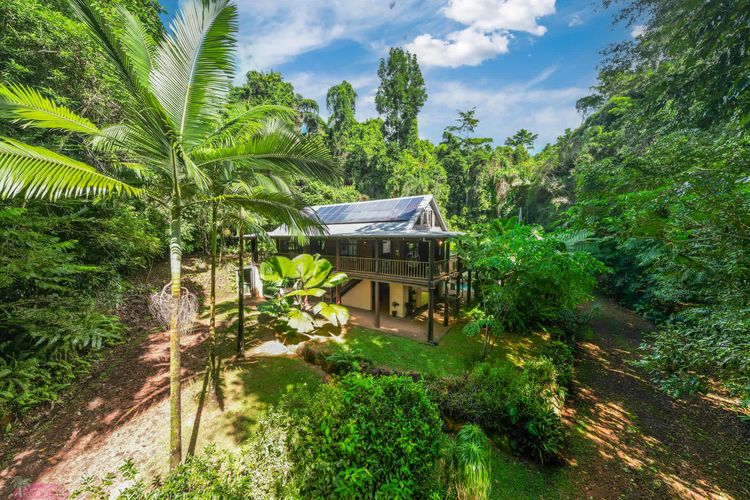 Fern House your serene rainforest retreat