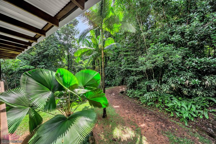 Fern House your serene rainforest retreat