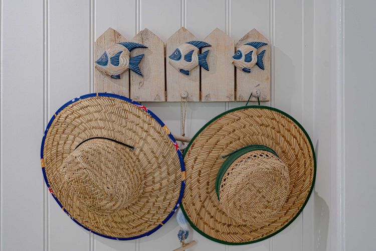 Liana One Coastal Mission Vibe