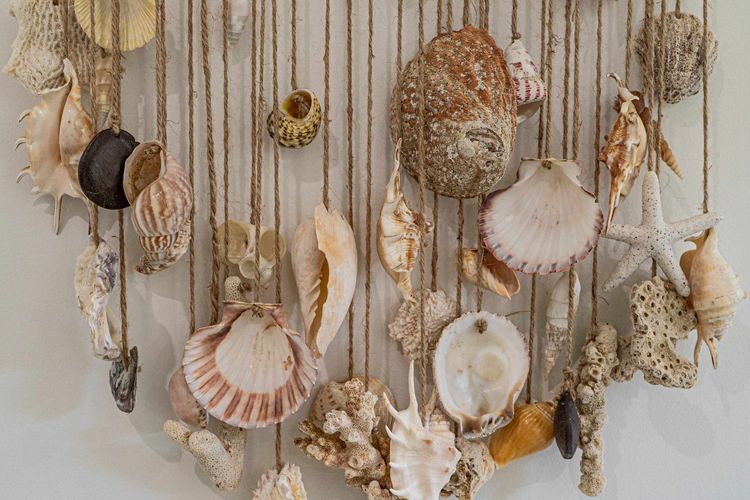 Liana One Coastal Mission Vibe