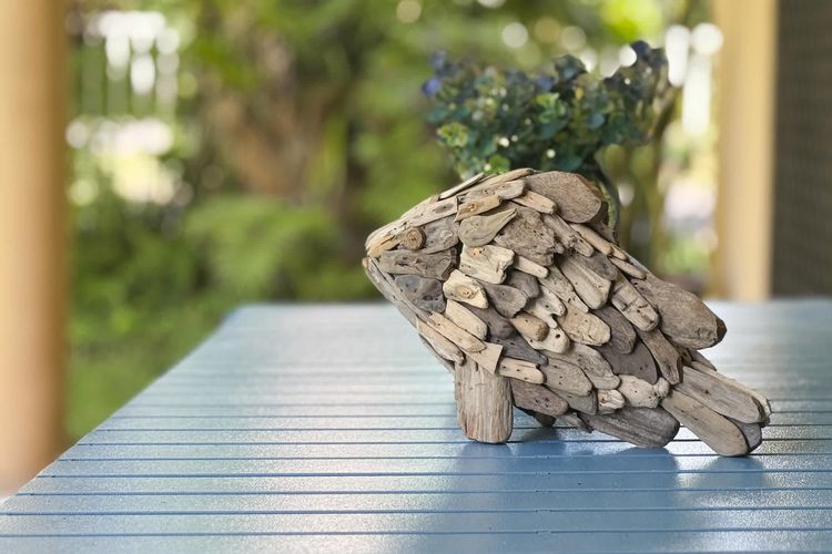 Liana One Coastal Mission Vibe