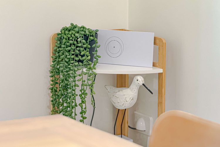 Liana One Coastal Mission Vibe