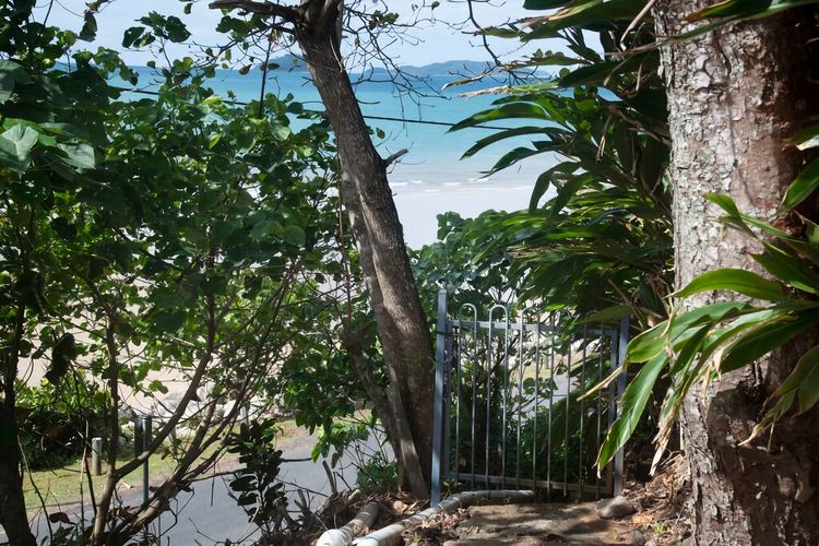 Tide Pool Ocean Front 2 bed