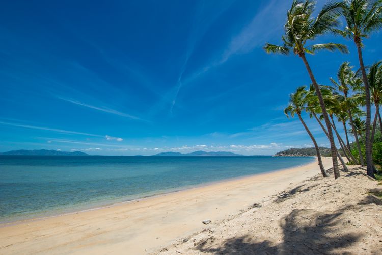 Pure Magnetic Villa 5