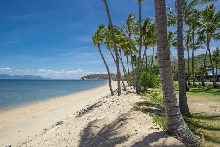 Pure Magnetic Villa 8