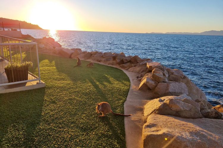 1 Bright Point Apartment 4104