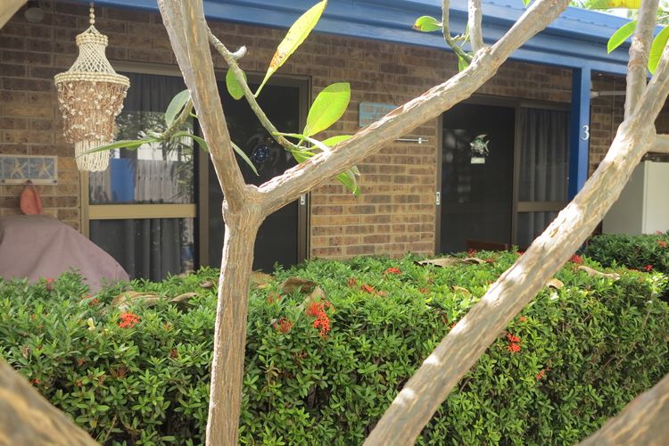 Magnetic Shores Unit 3