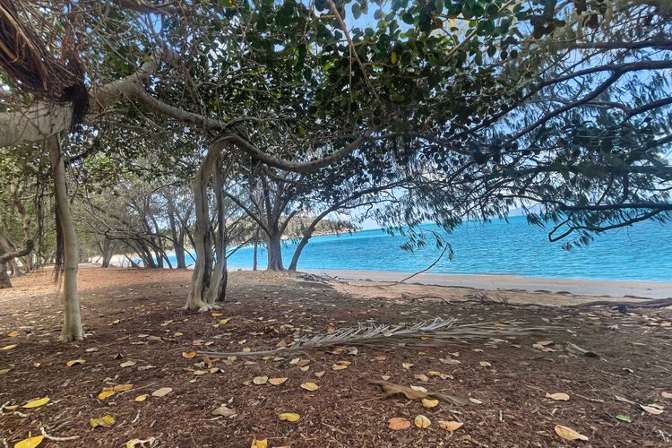 Arcadia Beach Unit 4