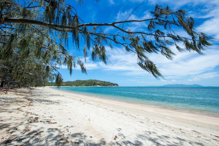 Arcadia Beach Unit 3