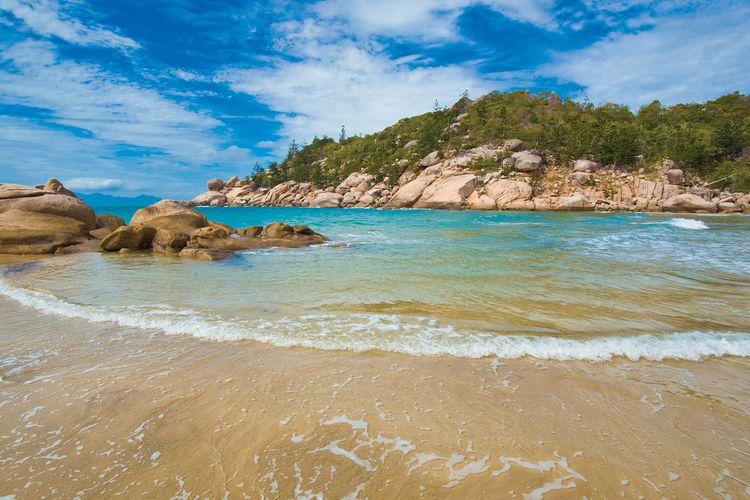 Magnetic Reef Unit 2