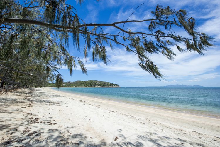 Azure on Geoffrey - Geoffrey Bay